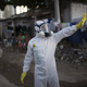 Illustration for article titled World Health Organization Declares Zika a Global Emergency